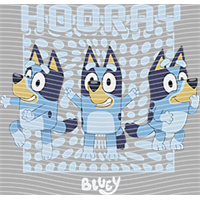 Bluey-BL 292